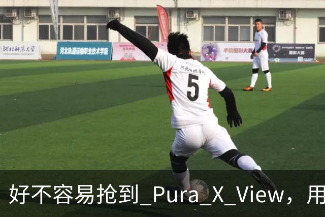 好不容易抢到 Pura X View，用了几天却有点失望