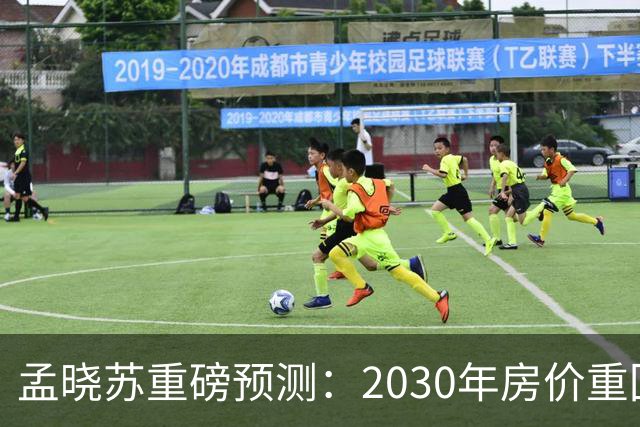 孟晓苏重磅预测：2030年房价重回前高没有悬念