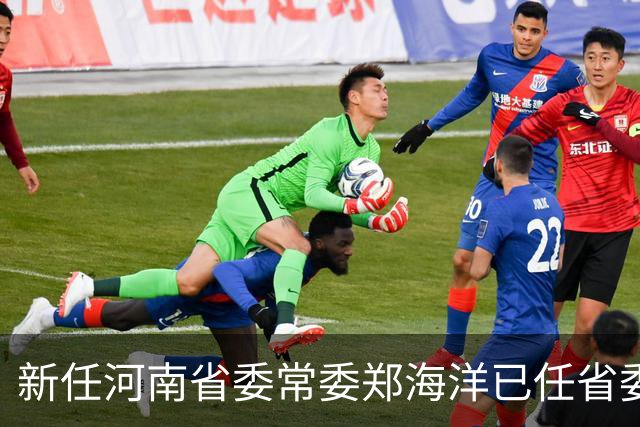 新任河南省委常委郑海洋已任省委政法委书记