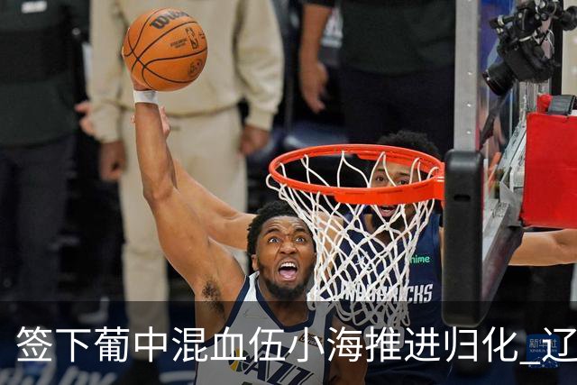签下葡中混血伍小海推进归化 辽宁铁人中甲冲浪