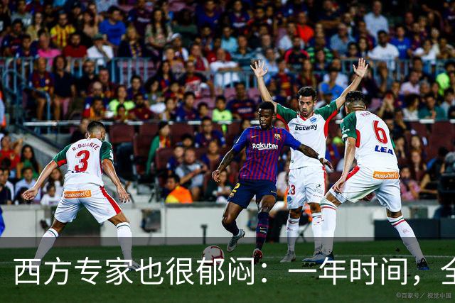 西方专家也很郁闷：一年时间，全世界已经开始看不懂中国了！